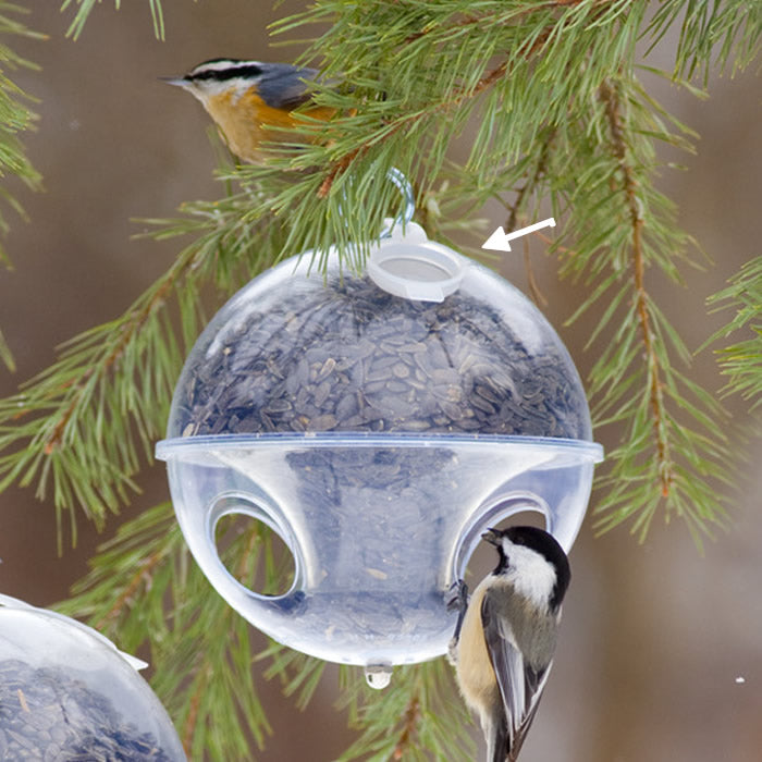 Duncraft Cling A Wing Seed Cap - Premium Bird Seed Feeder for Wild Birds - Perfect for Backyard, Garden & Outdoor Bird Watching
