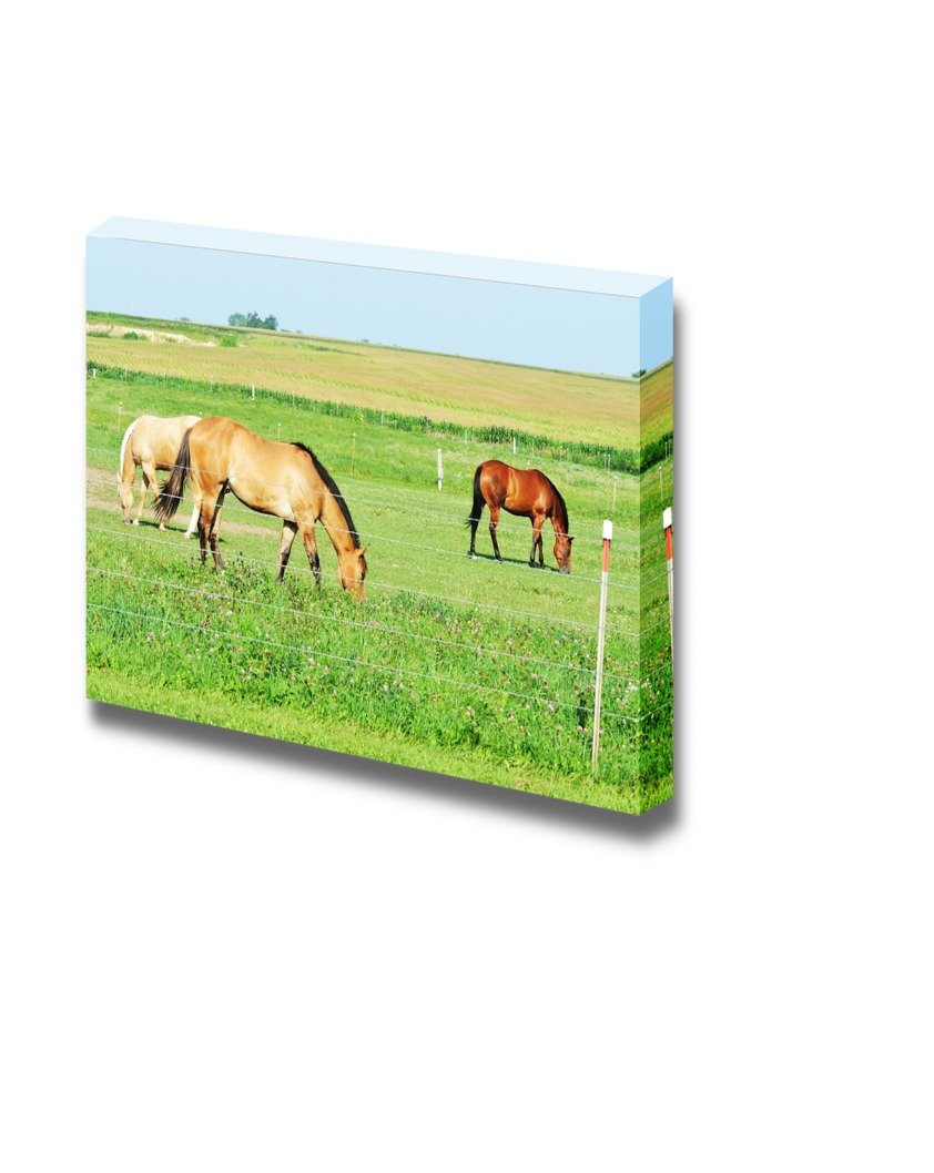Three Horses Grazing on Green Meadow Canvas Wall Art - Modern Stretched Gallery Wrap Giclee Print - Ready to Hang Home Decor (24