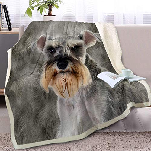 Schnauzer