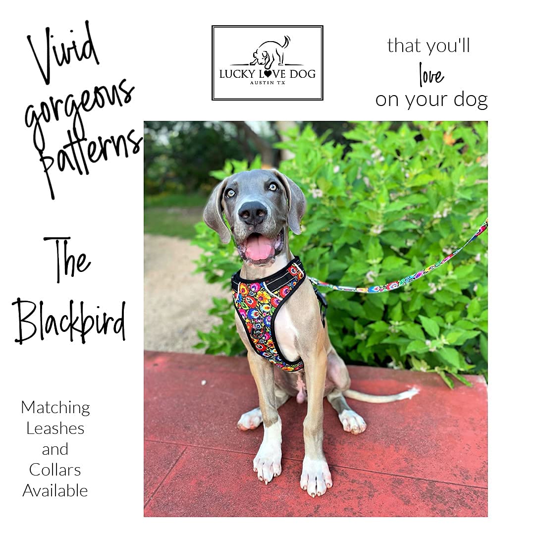 Lucky Love No Pull Dog Harness - Adjustable Pet Harness for Small Medium Large Dogs with Cute Floral Pattern (Blackbird, Small) | Perfect for Walking, Training & Outdoor Adventures