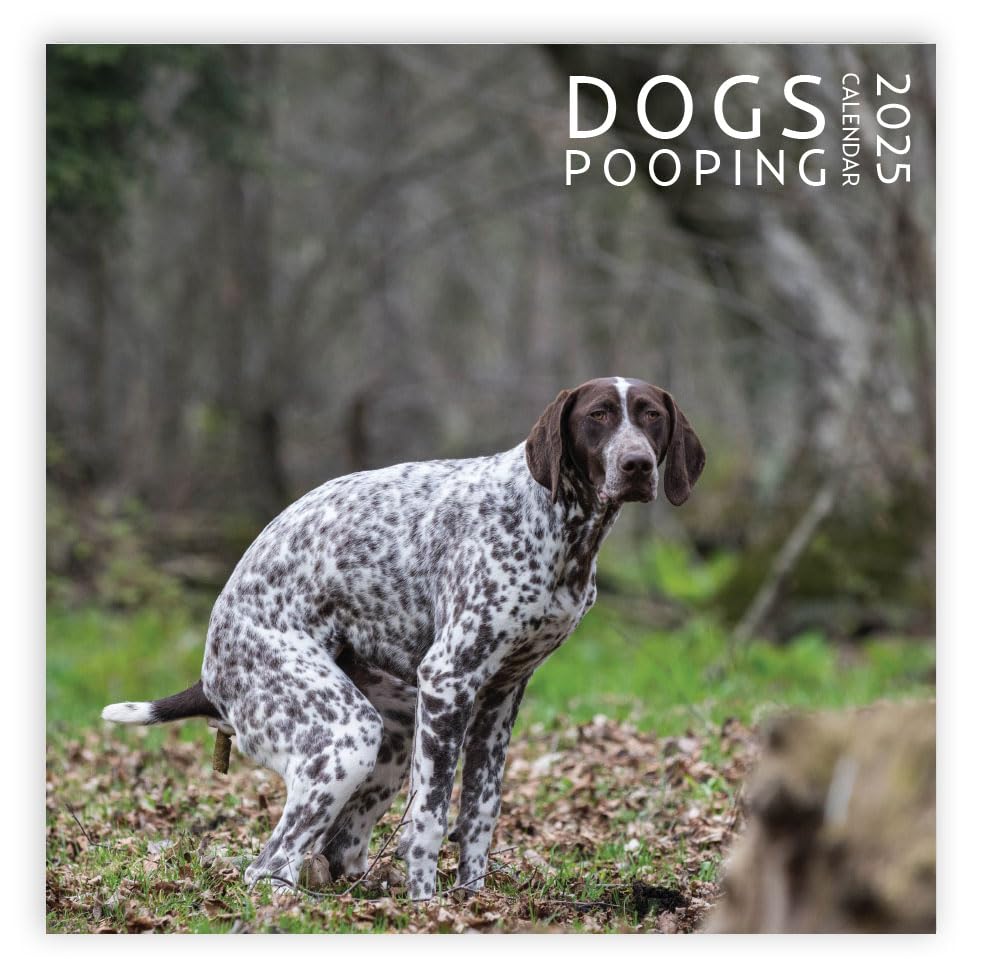Dog Pooping