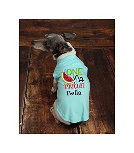 One in a Melon Summer Dog Shirt - Personalized Cute Dog Clothes for Summer - Perfect for Beach, Pool Parties & Outdoor Adventures