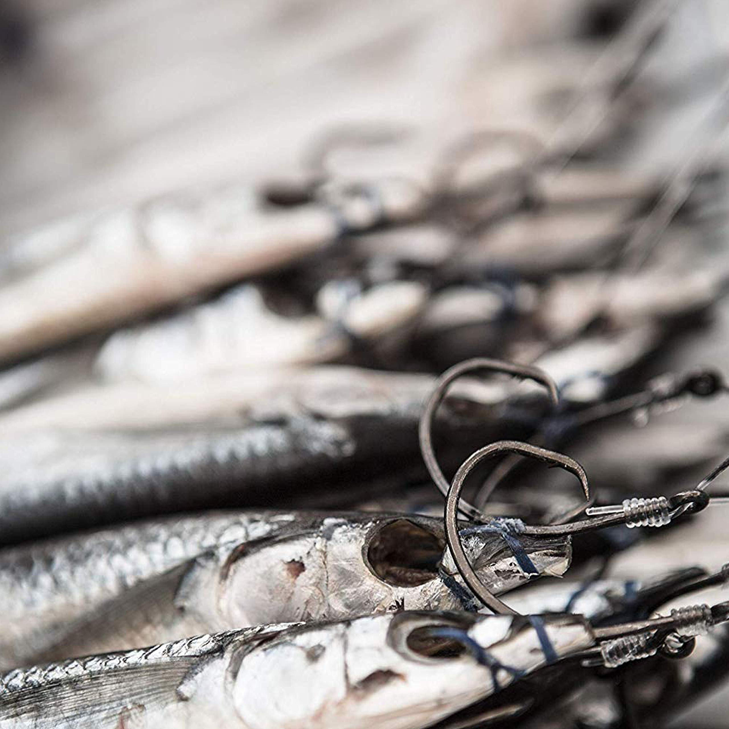 FUSIGO Saltwater Tuna Giant Circle Hooks 8/0-28/0 - Stainless Steel Big Game Fishing Hooks for Swordfish, Tuna & Shark - Heavy Duty In-Line Circle Hooks for Deep Sea Fishing & Offshore Angling