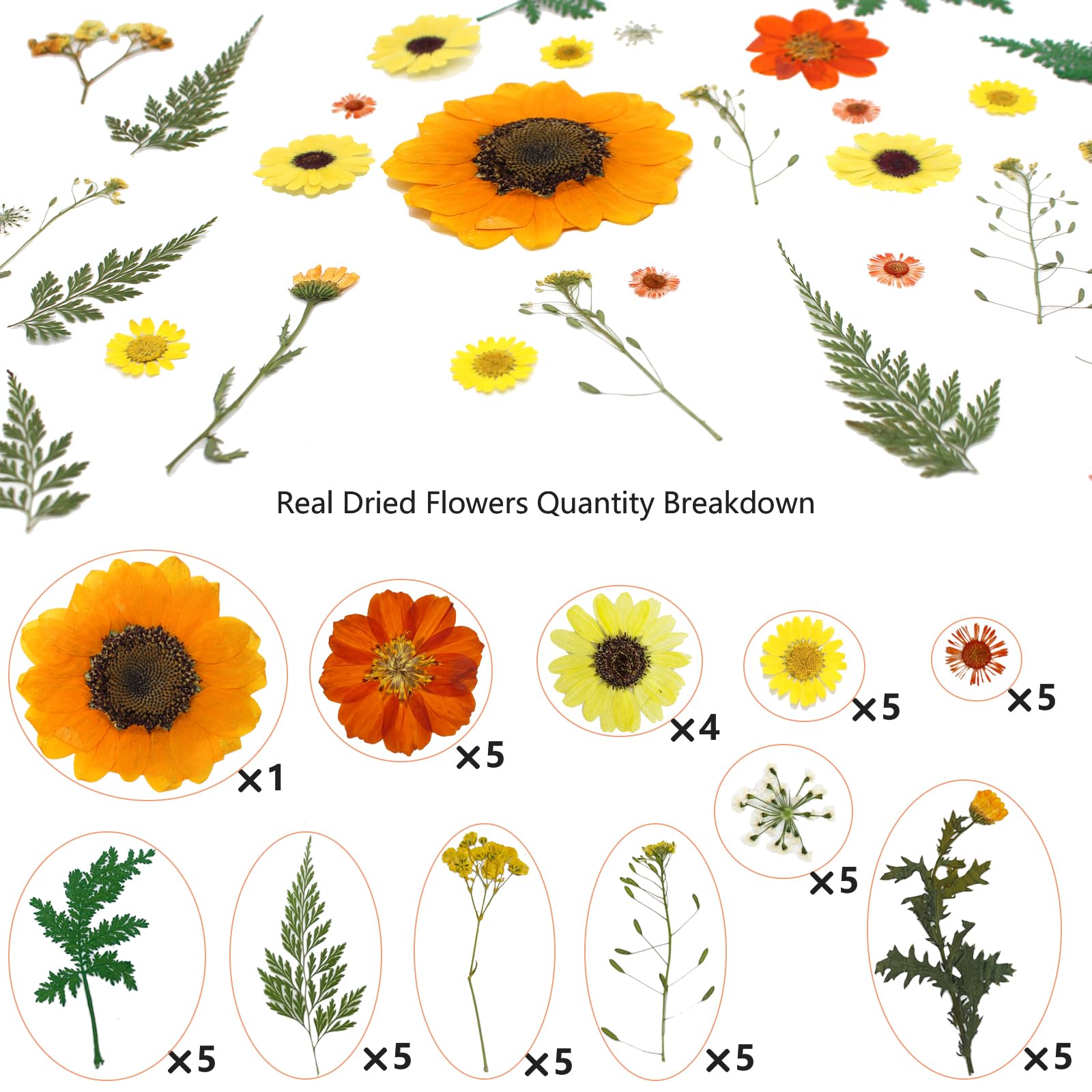 50 Pcs Natural Dried Pressed Flowers & Leaves Kit for Resin Art, DIY Crafts, Candle & Soap Making - Perfect for Christmas Gifts, Nail Decor & Home Decoration