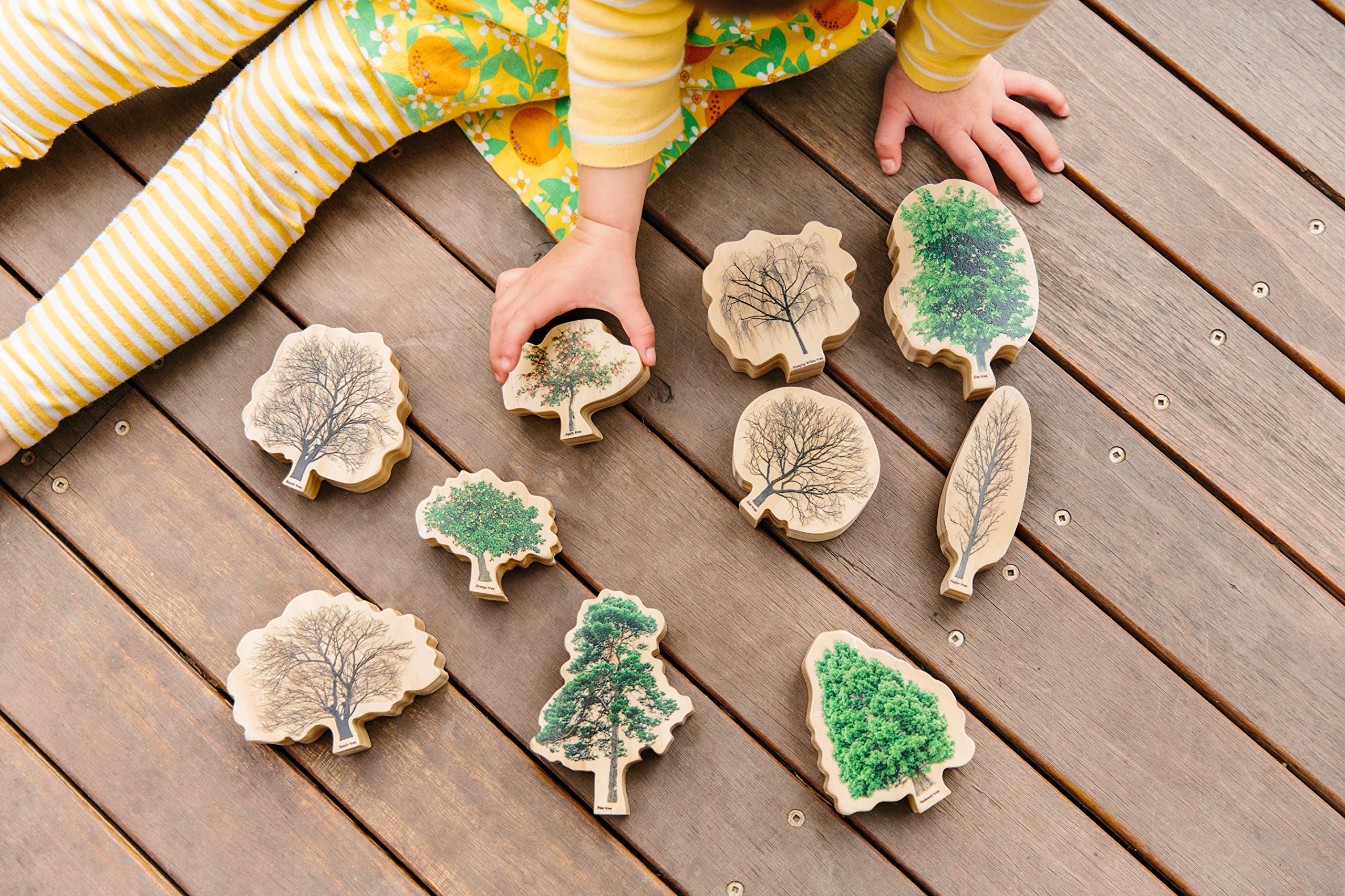 4 Seasons Wooden Tree Decor - Handcrafted Home & Office Decoration for Spring, Summer, Fall, Winter | Perfect for Table Centerpiece, Shelf Display, and Seasonal Gift Giving