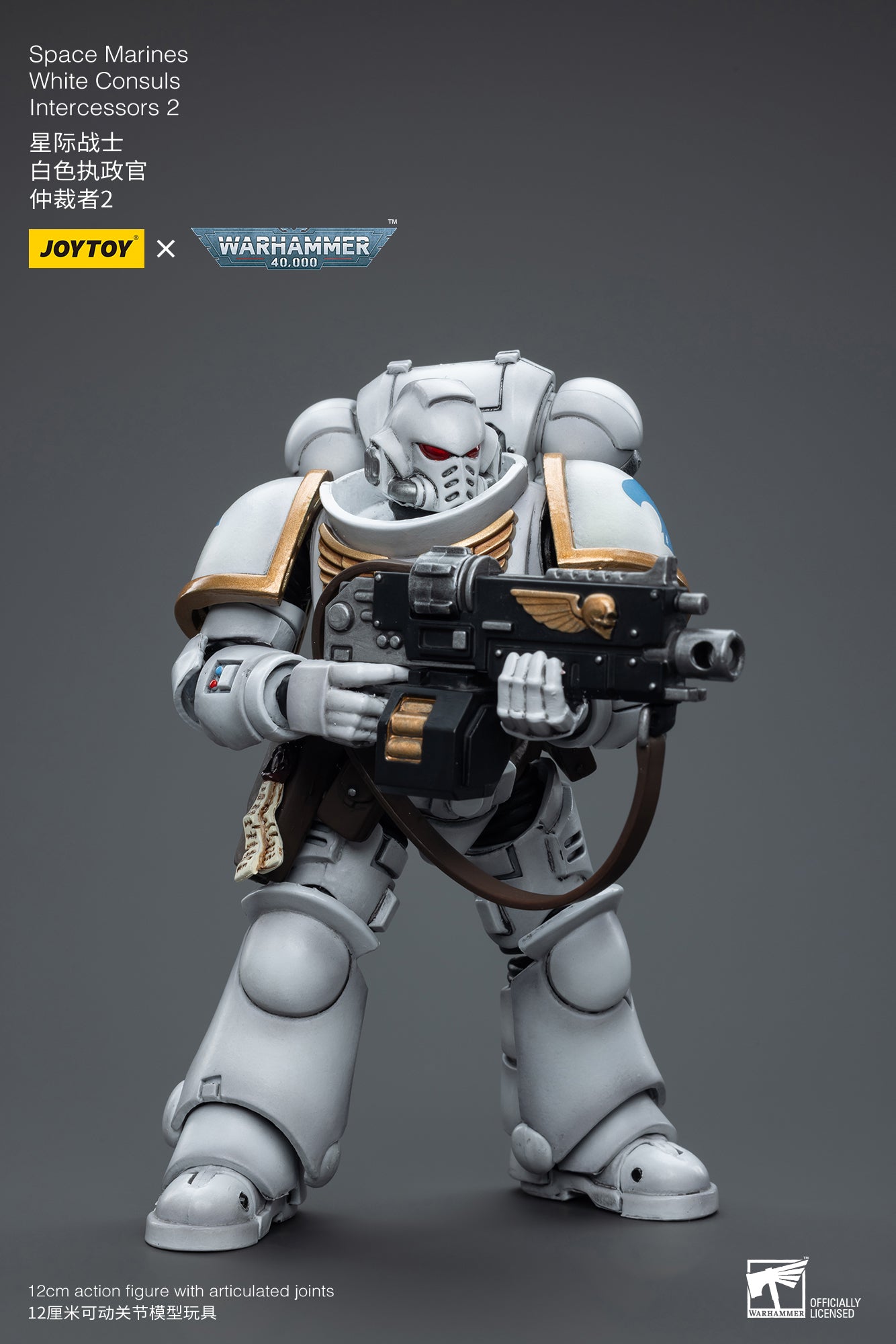 1/18 JOYTOY Warhammer 40K Space Marines White Consuls Intercessors Action Figure - Collectible Miniature for Tabletop Gaming & Display