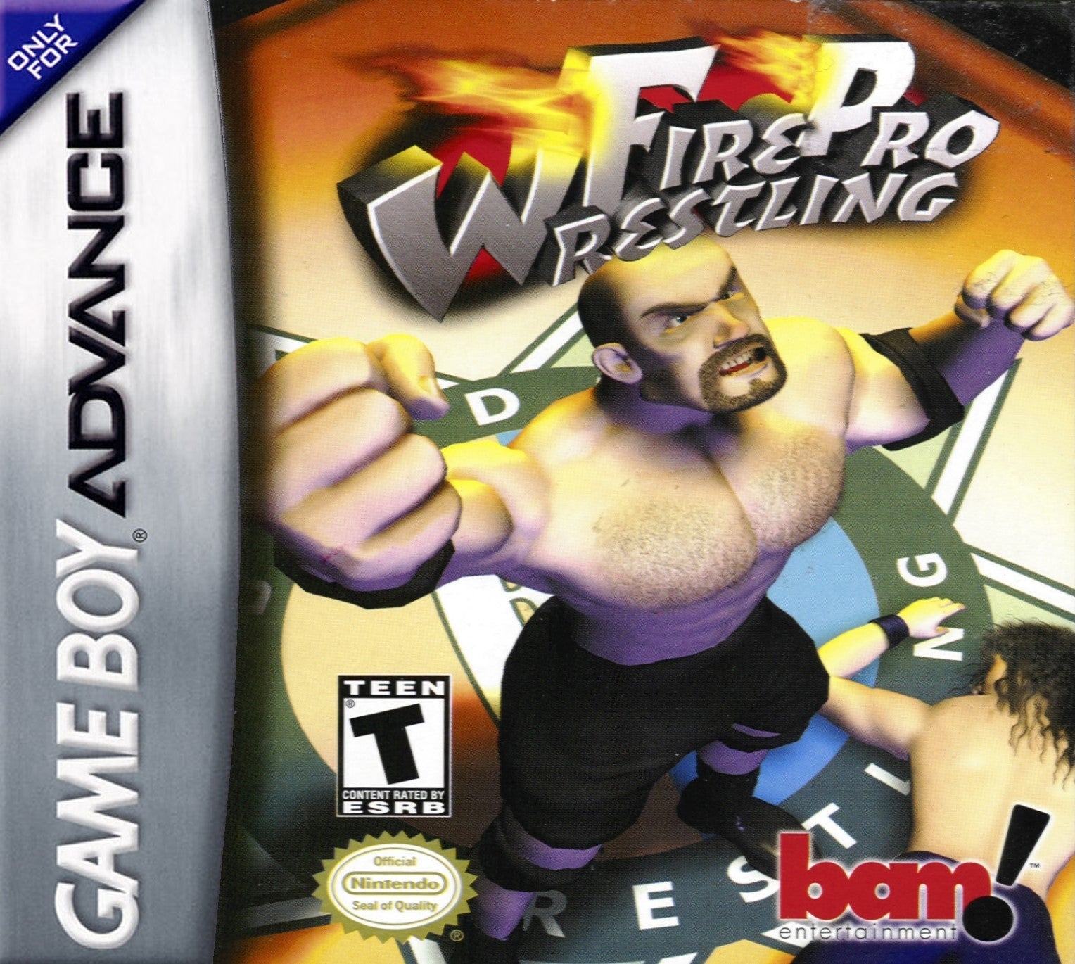 Fire Pro Wrestling 2 - Authentic Wrestling Video Game for PS2 | Perfect for Wrestling Fans & Retro Gamers - Great for Tournaments & Multiplayer Battles