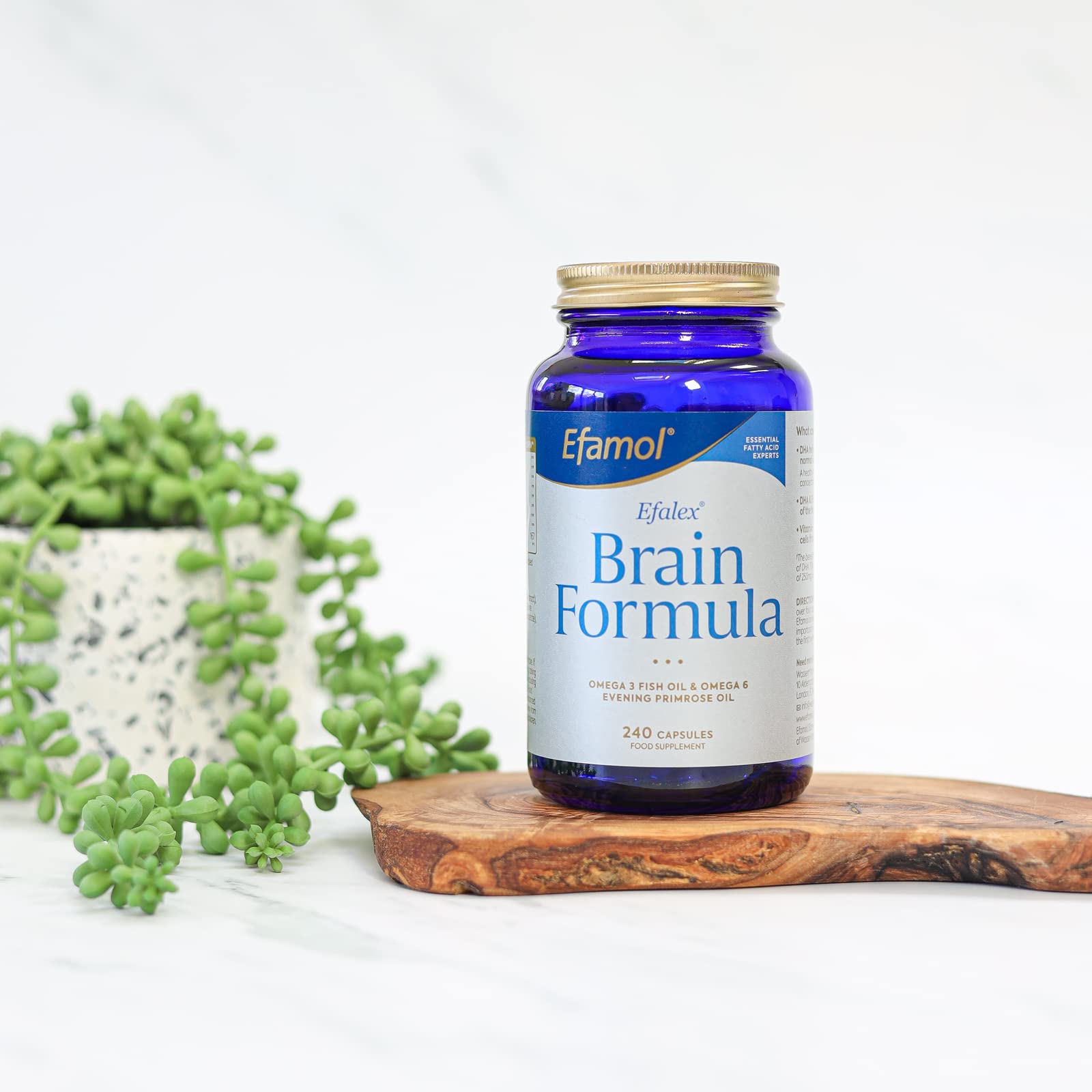 Efamol Brain Efalex Brain Formula - 240 Capsules for Memory & Focus Support | Omega-3 & DHA Supplement for Adults & Students | Study Aid & Cognitive Enhancement