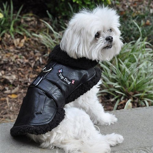 Black Top Dog Flight Coat with Leash - Warm Winter Dog Jacket for Small to Medium Dogs - Perfect for Outdoor Adventures, Travel & Cold Weather Protection