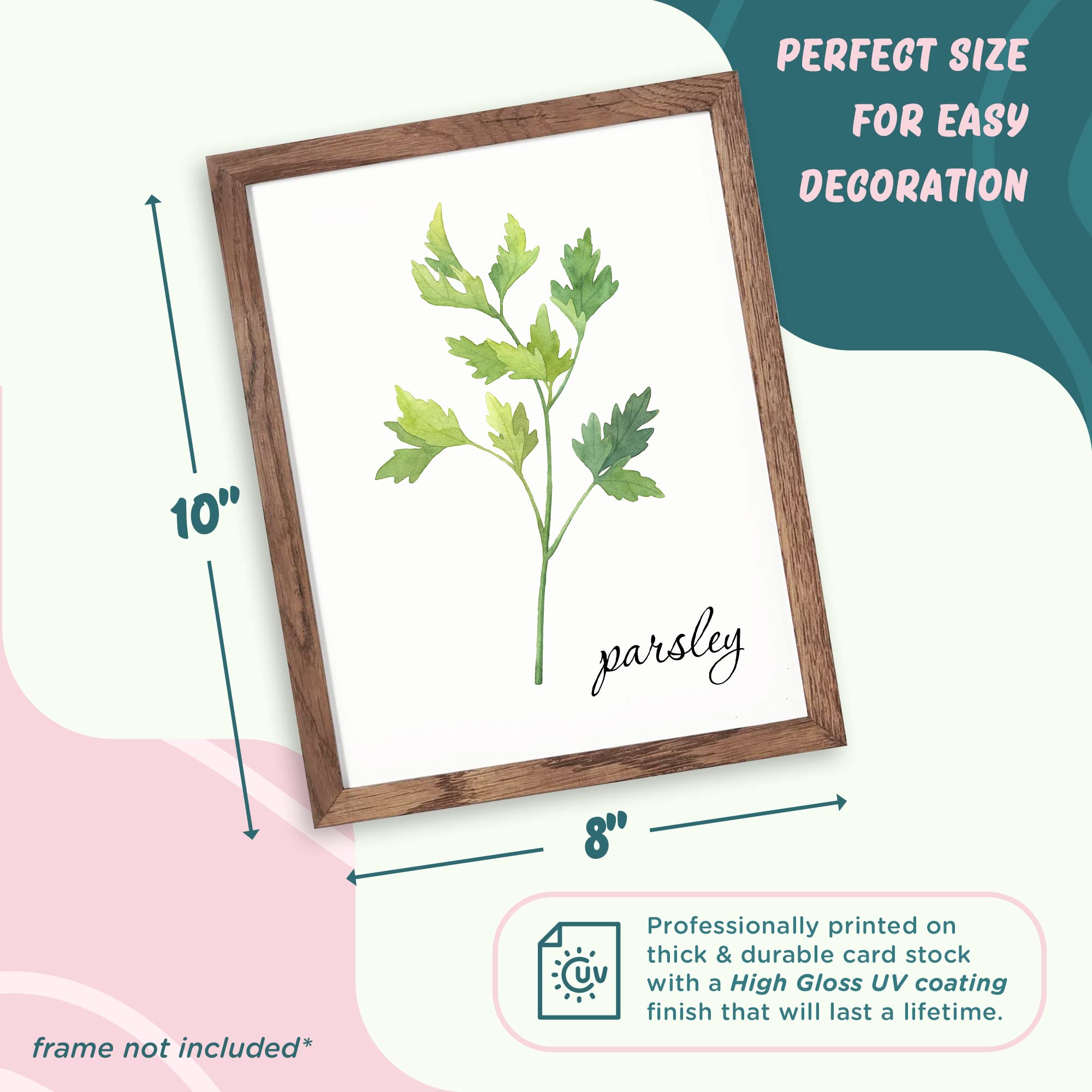 L&O Goods Kitchen Herb Decor Posters & Prints Set of 6 | Sage Green Botanical Wall Art 8x10 | Boho Leaves Wall Decor for Dining Room & Kitchen | Perfect for Farmhouse, Apartment & Office Decor