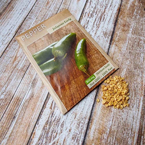 Organic Jalapeno Early Hot Pepper Seeds by Eden Brothers - Perfect for Home Gardening, Spicy Cooking & DIY Hot Sauce