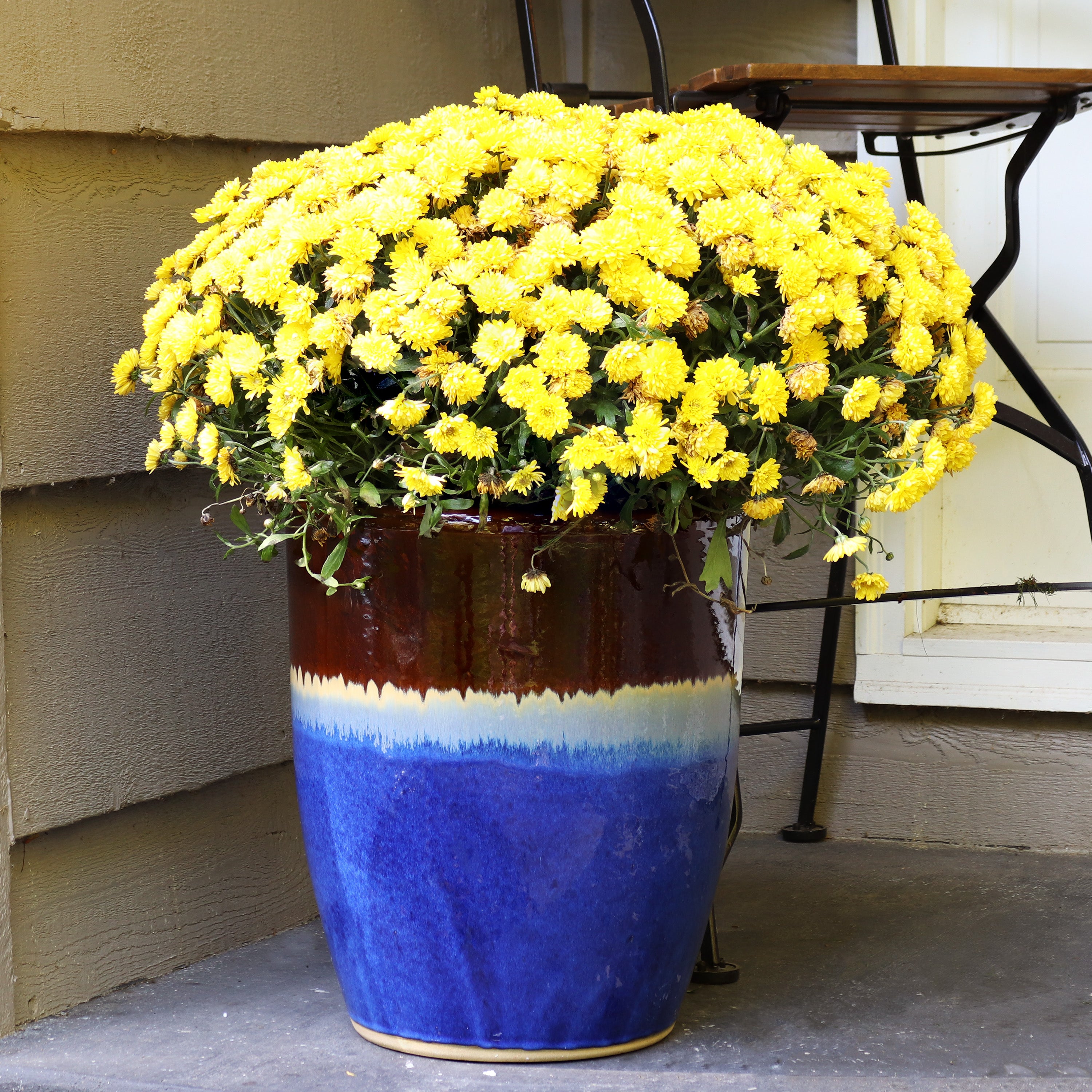 Sunnydaze Captivating Vista Ceramic Planter - 14 Inch Decorative Flower Pot for Indoor & Outdoor Plants - Perfect for Home, Garden, Patio, and Office Decor