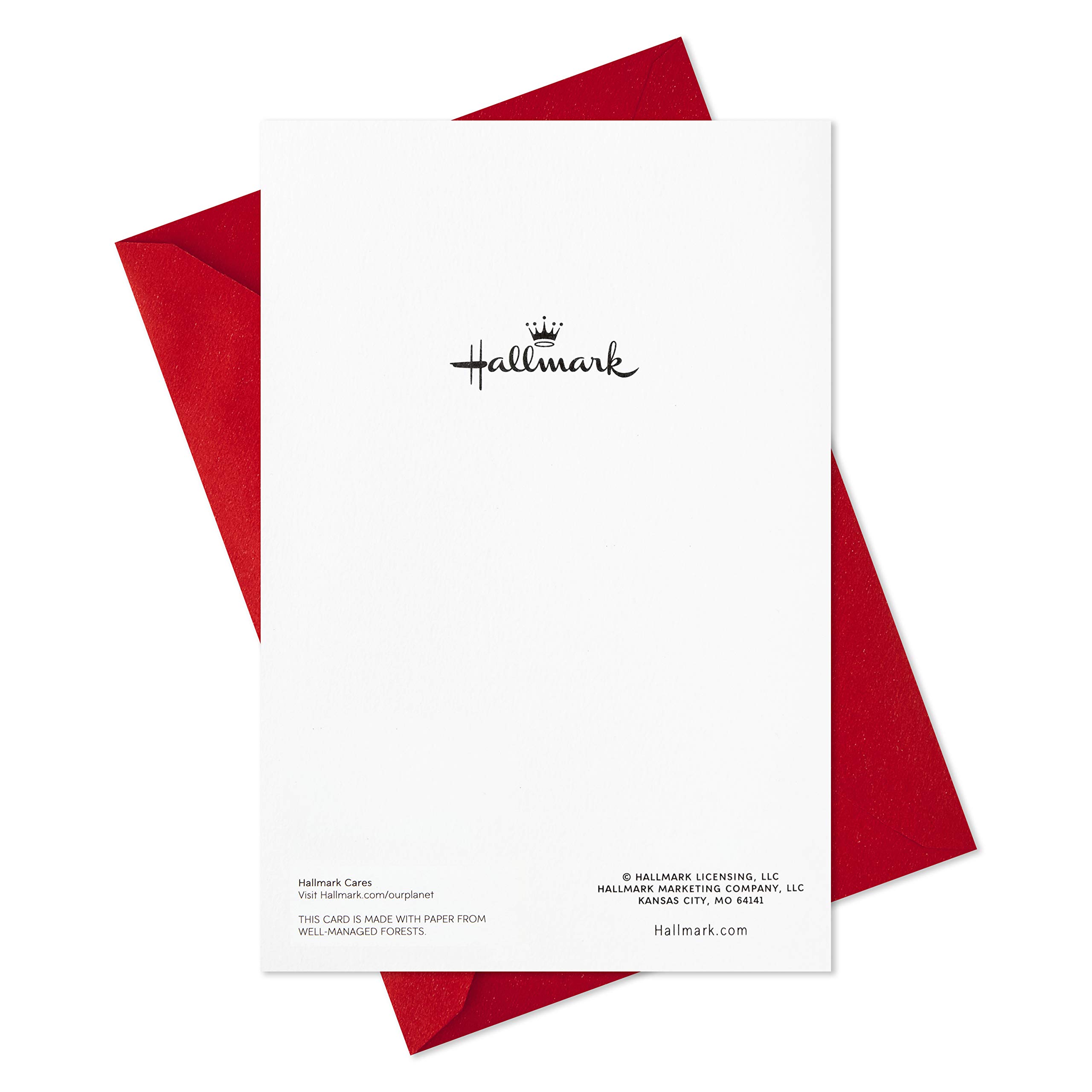 Hallmark Boxed Christmas Cards - Moments of Peace (16 Greeting Cards with 17 Envelopes) | Holiday Greetings, Seasonal Wishes & Festive Correspondence for Family & Friends