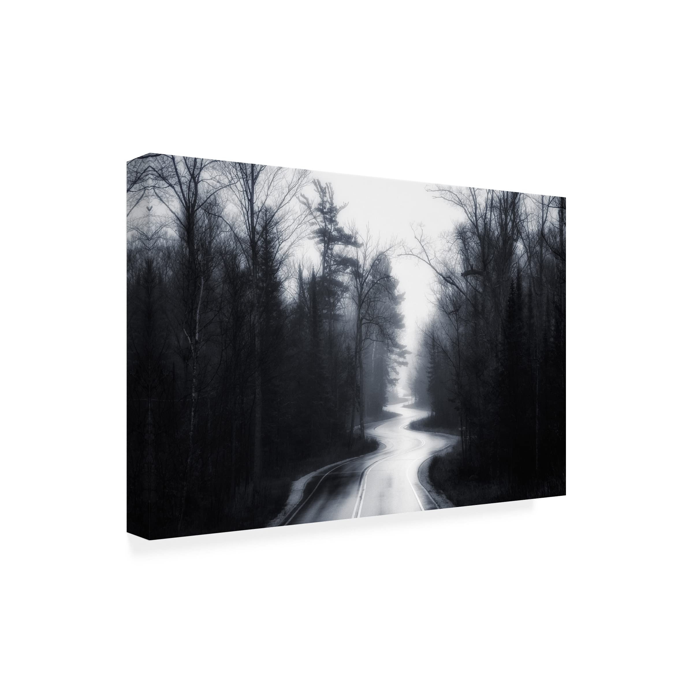 David Rothstein 'Slalom' Canvas Art Print - Modern Abstract Wall Decor for Living Room, Bedroom & Office - Trademark Fine Art Collection