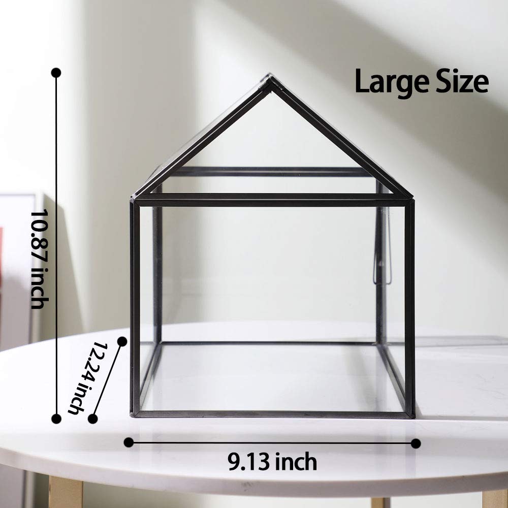 Large Geometric Glass Terrarium - 12x9x10 Inch Black Tabletop Planter with Swing Lid for Succulents, Moss & Ferns | Modern Home Decor, Office Display & Gift Idea | No Plants Included
