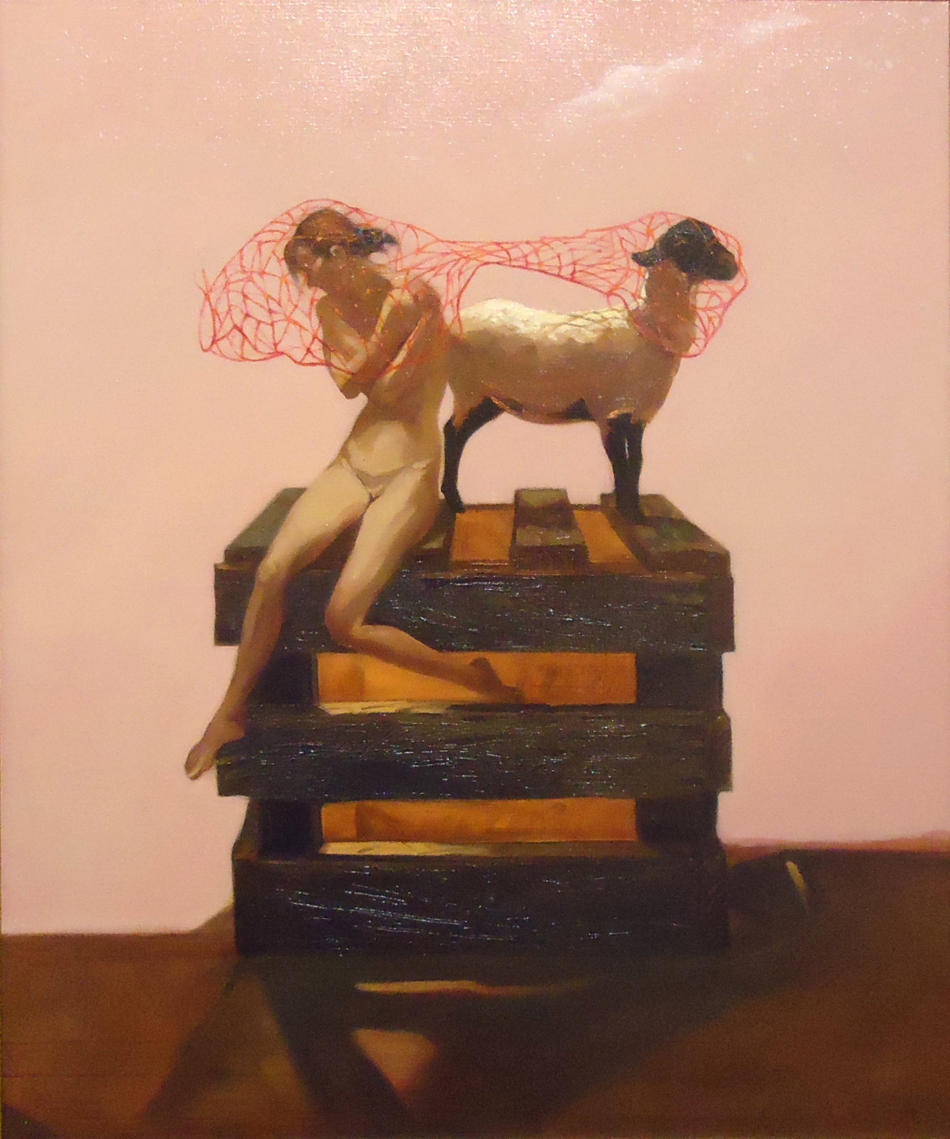 Patricia Traub: Woman, Sheep and Safety Net - Inspiring Story of Rural Life & Resilience | Perfect for Book Clubs, Women's Studies & Farm Life Enthusiasts