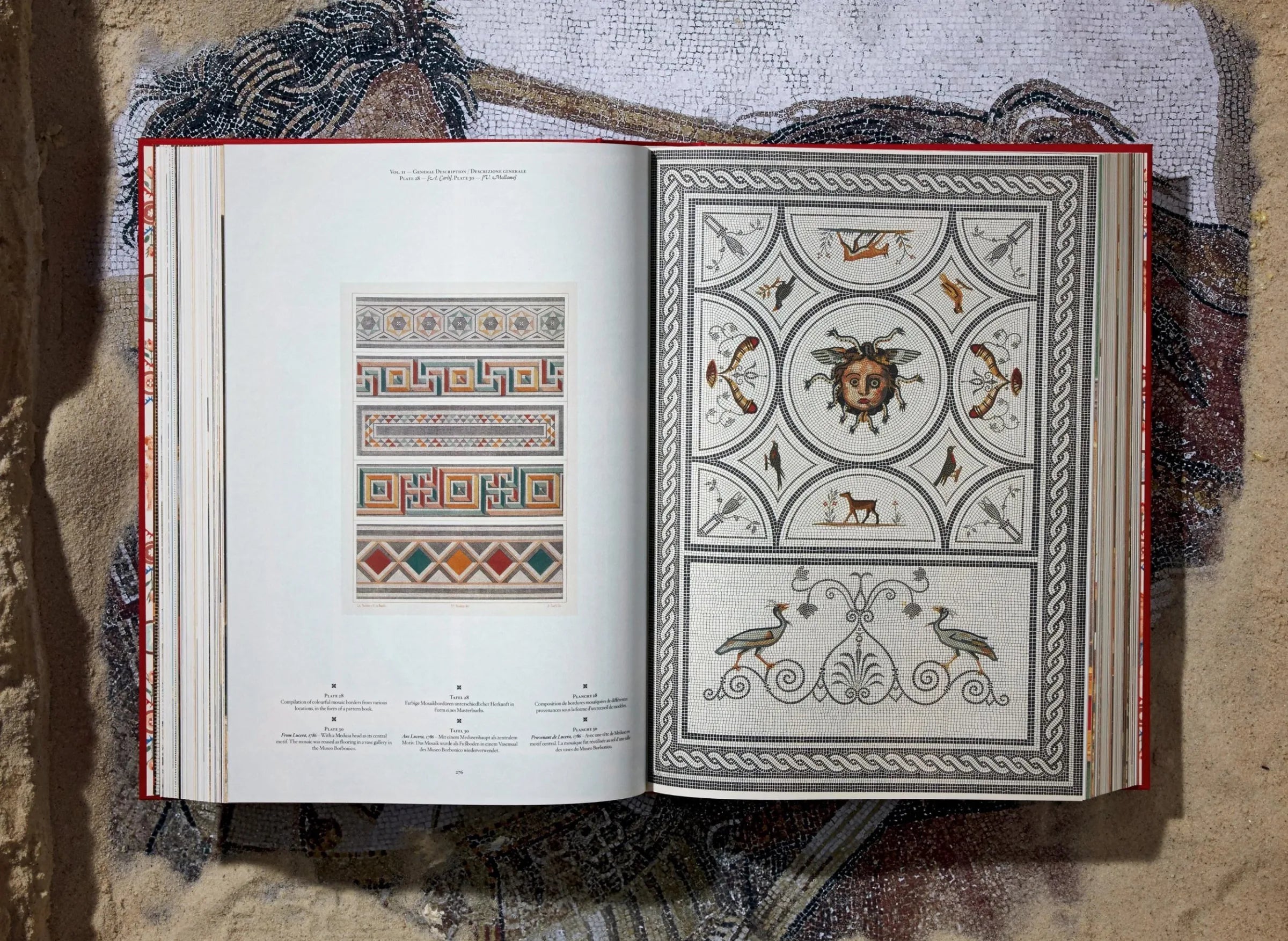Fausto & Felice Niccolini - Houses and Monuments of Pompeii: Ancient Roman Architecture Book | Perfect for History Lovers, Archaeology Enthusiasts & Home Decor Inspiration