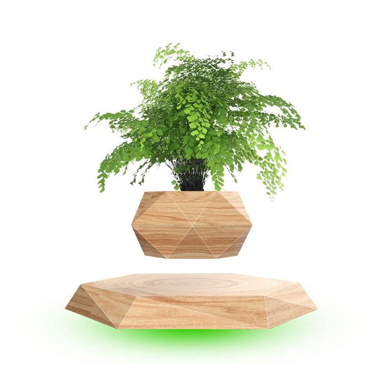 Floating Bonsai Planter - Levitating Magnetic Plant Pot for Home & Office Decor | Perfect for Zen Gardens, Desk Decorations & Unique Gifts
