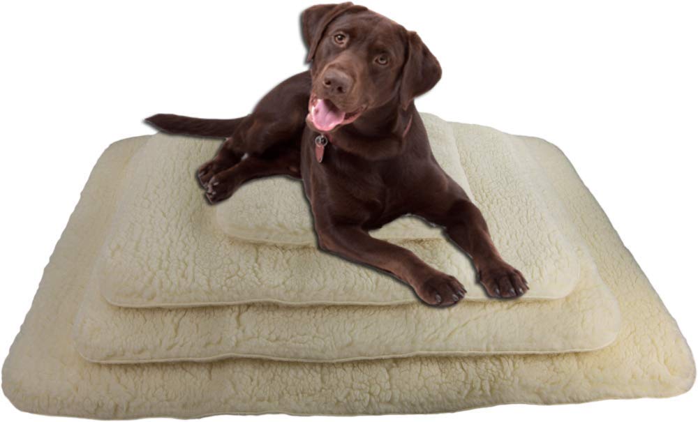 ActiveDogs Orthopedic Dog Bed - Small 18