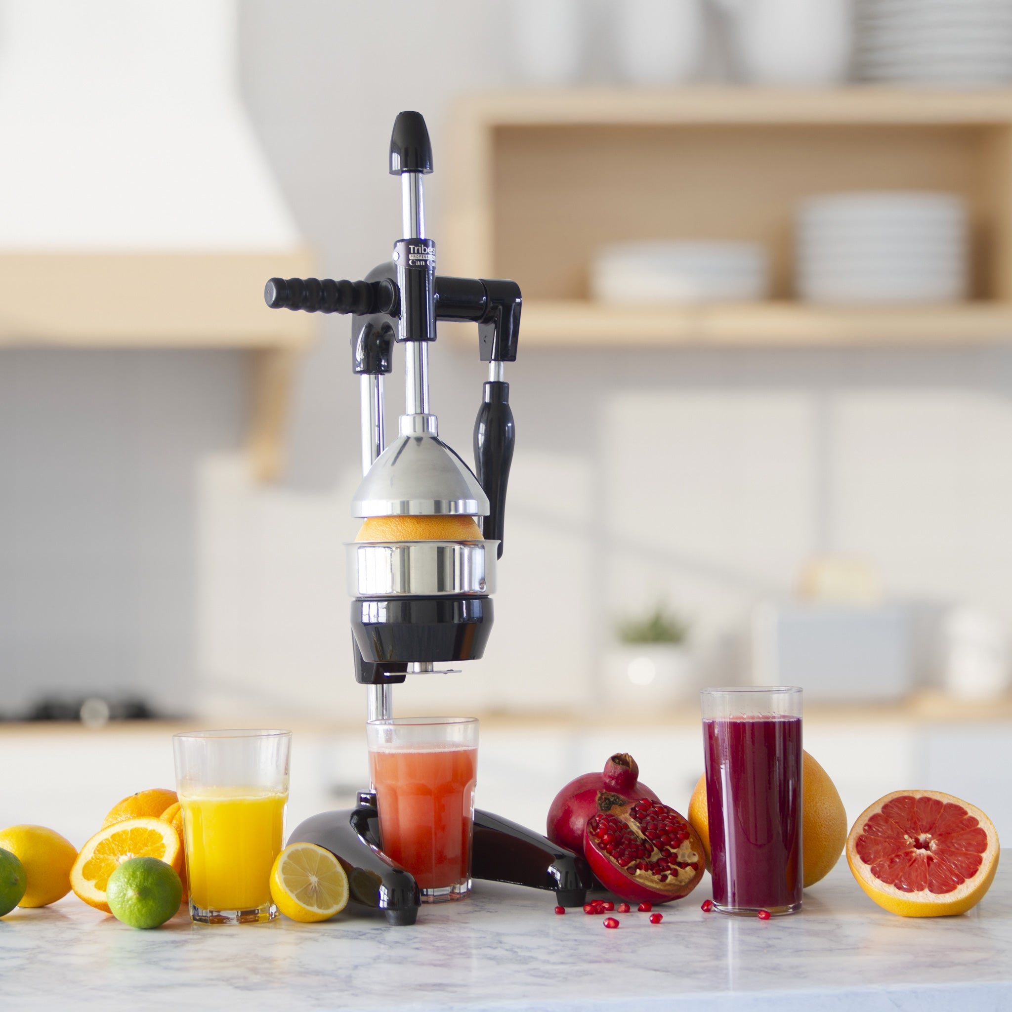Refurbished XL Manual Juice Press for Pomegranate, Citrus & More - Cold Press Juicer for Healthy Drinks, Cocktails & Homemade Extracts