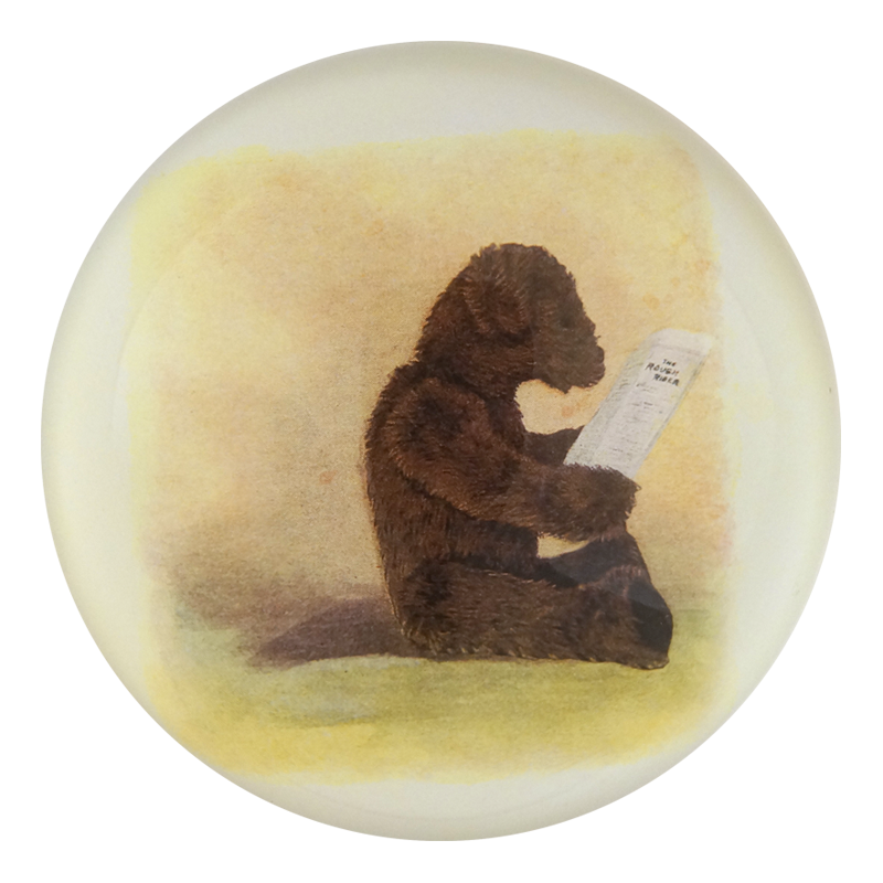 CDP Bear Reading PNG - High-Quality Digital Clipart for Kids' Books, Scrapbooking & DIY Projects