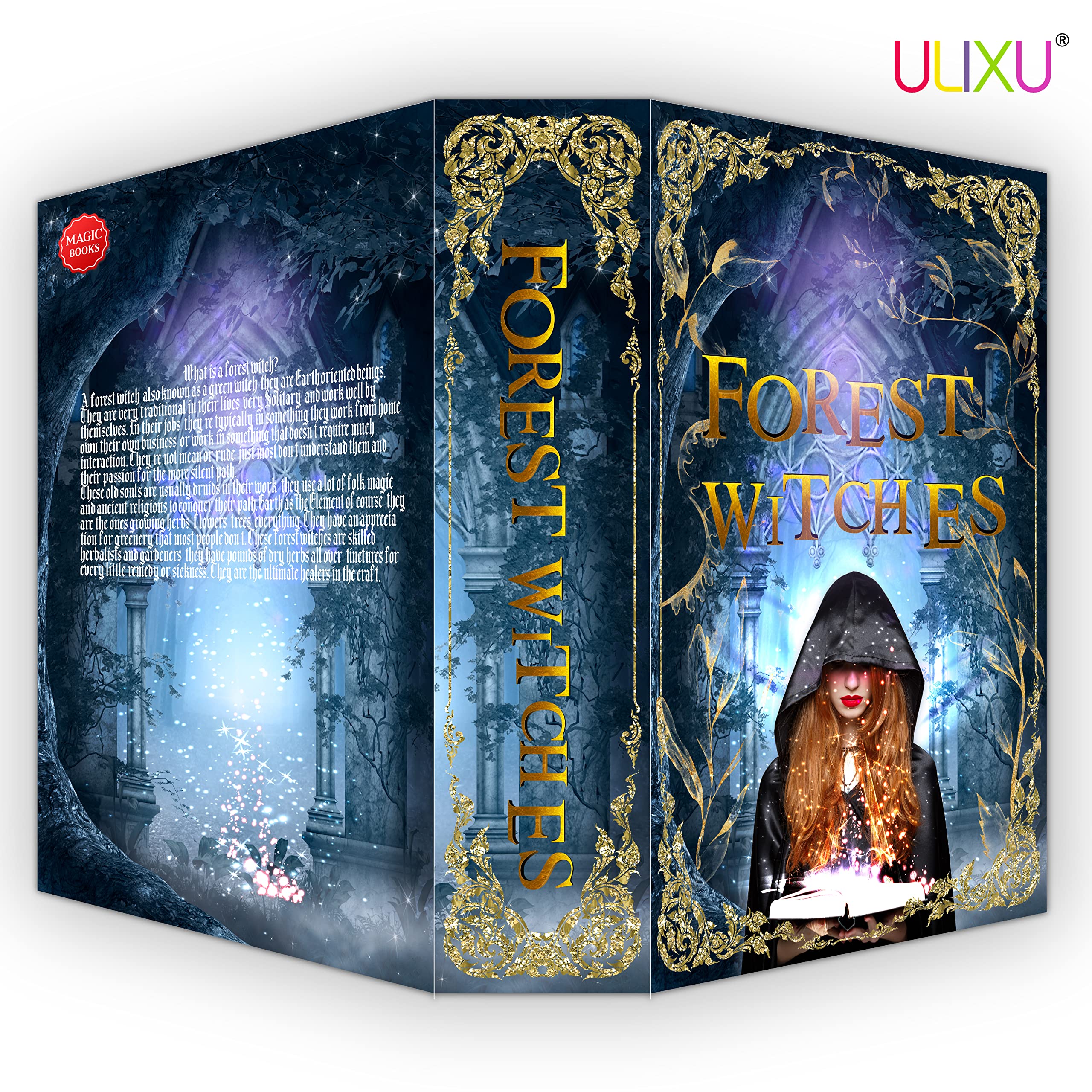 Forest Witches Real Pages Diversion Book Safe with Key Lock - Secret Money Hiding Box, Metal Security Lock Box, Collectible Storage Safe for Cash, Jewelry & Valuables - Perfect for Home, Office & Travel Security