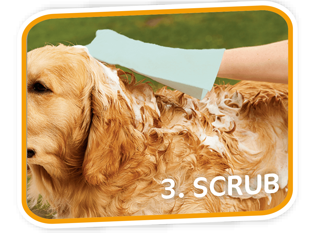 Premium Pet Grooming Wash Mitts - Soft & Gentle Cleaning Glove for Dogs & Cats - Perfect for Bathing, Shedding & Massage at Home