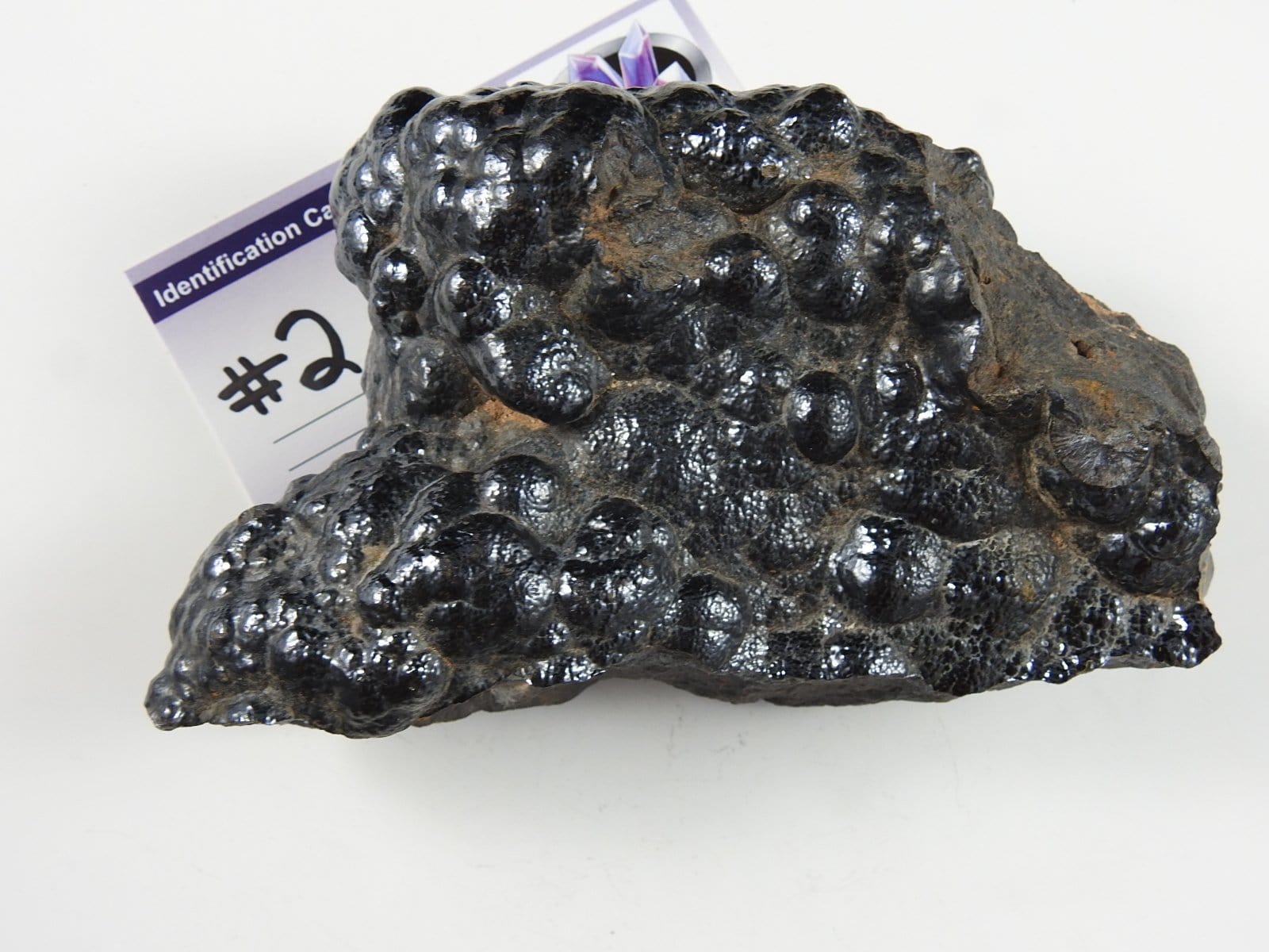 Botryoidal Hematite Specimen - Rare Mineral Collection for Healing & Decor | Crystal Healing, Home Display, Gift Idea