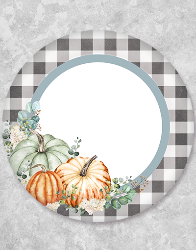Dusty Gingham Dinner Plates - Set of 24 - Farmhouse Style Ceramic Plates for Everyday Dining, Parties & Home Decor