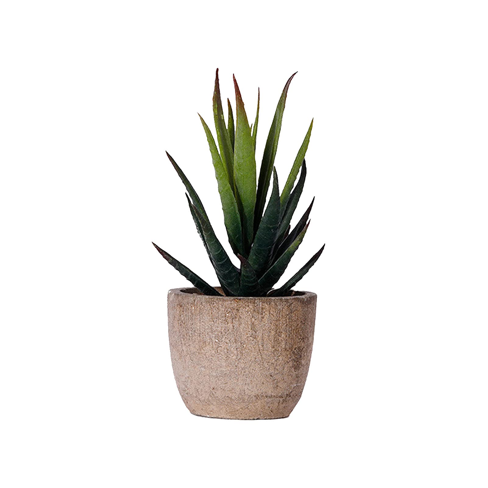 Realistic Mini Artificial Succulent Bonsai - Fake Flower Plant for Home Decor, Office Desk, Living Room & Wedding Centerpiece