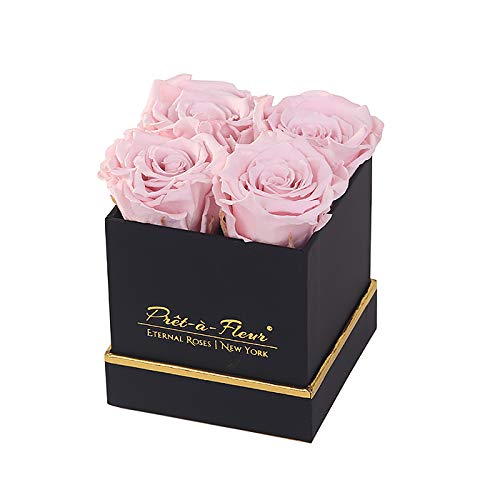 Luxury Long Lasting Preserved Roses in Elegant Black Gift Box - 4 Inch Pearl White Roses for Anniversary, Valentine's Day & Home Decor