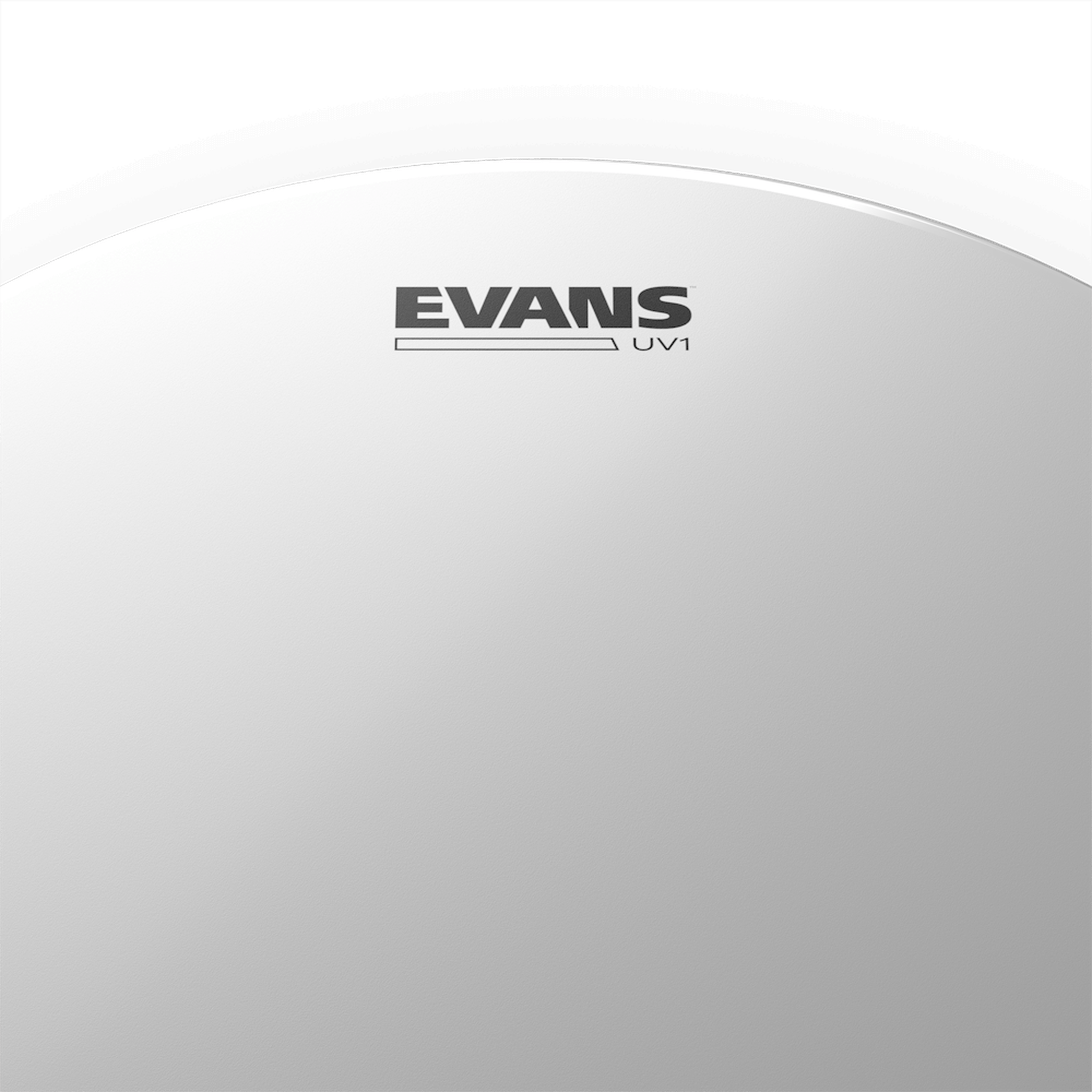 EVANS UV1 Coated Drum Head 10 Inch - Premium Drum Skin for Snare and Tom Drums - Perfect for Live Performances and Studio Recording