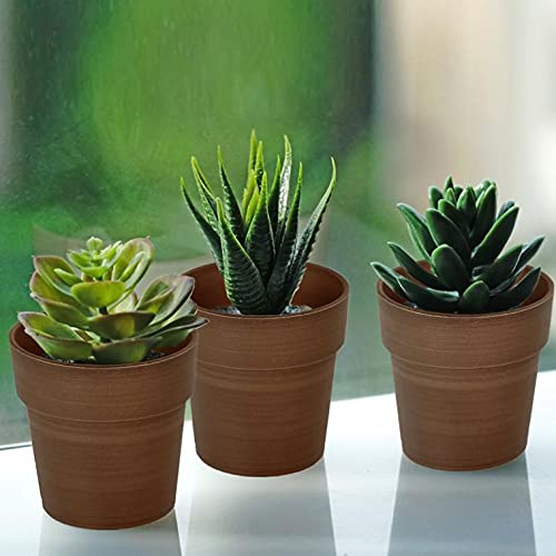 3 Packs Mini Plastic Succulent Plant Nursery Pots - 3