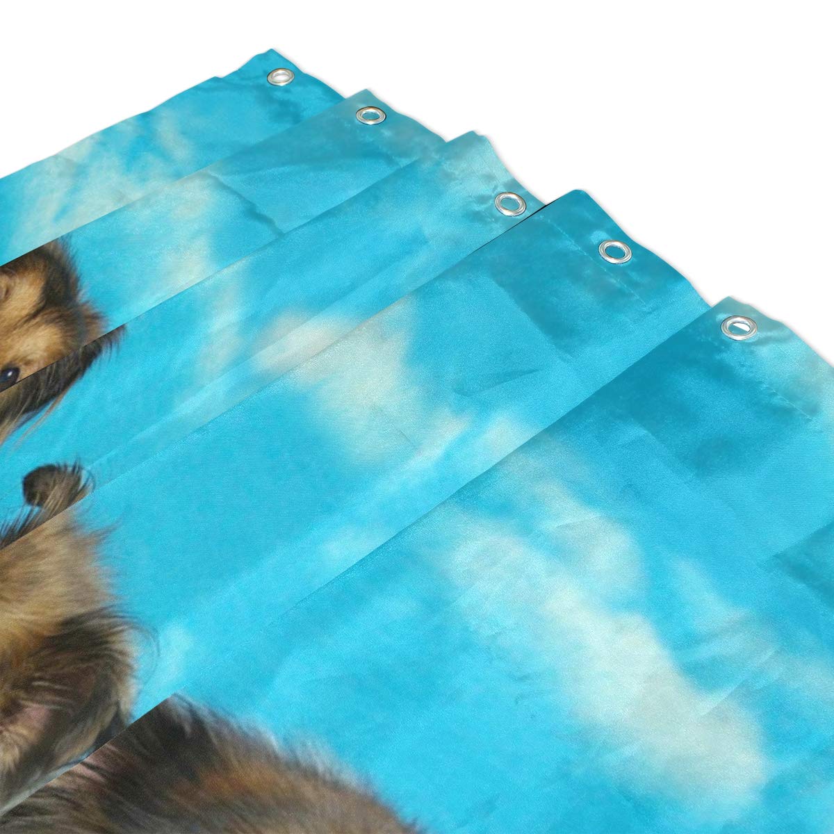 ALAZA Shetland Sheepdogs Shower Curtain 72 x 72 Inch - Waterproof Polyester Bathroom Decor with Hooks - Perfect for Farmhouse, Pet Lover & Coastal Style Bathrooms