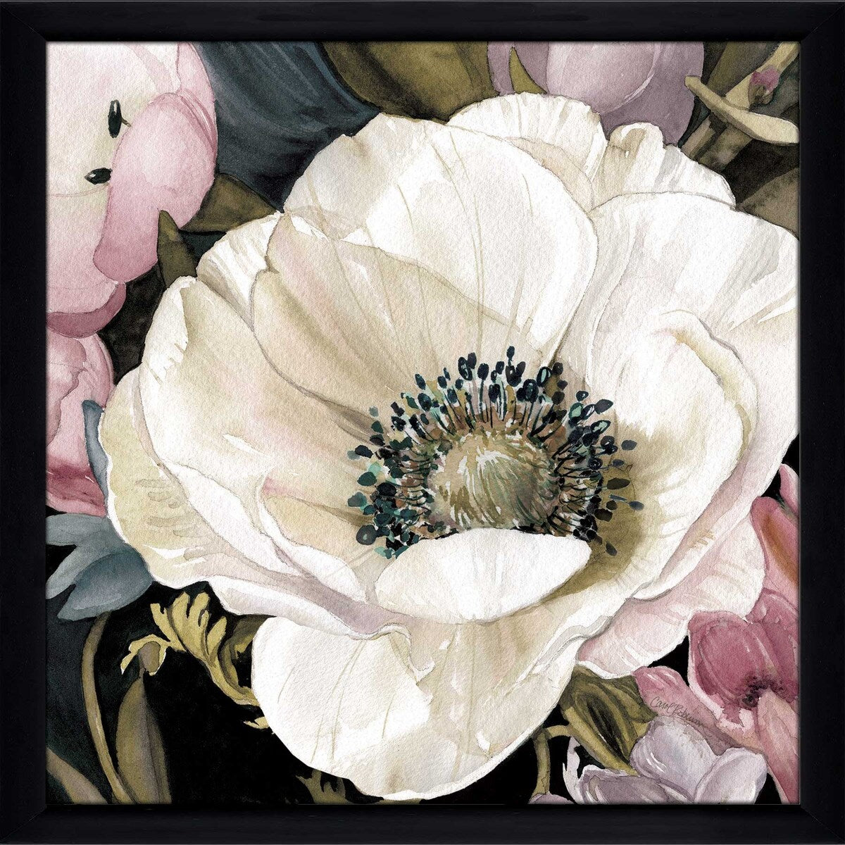Anemone Study II by Carol Robinson - Vibrant Floral Art Print on Acrylic - Perfect for Living Room, Bedroom & Office Wall Decor