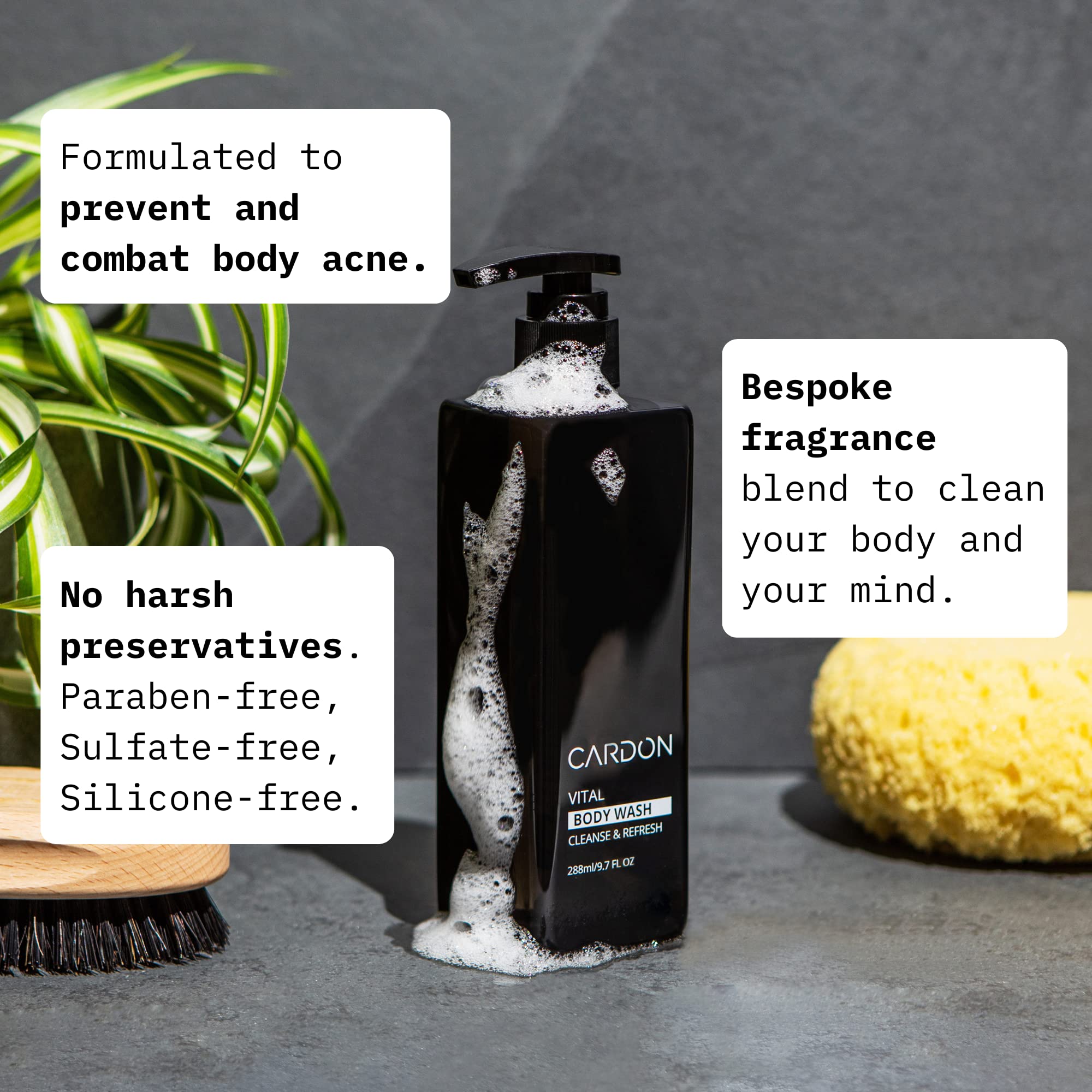 Cardon Body Wash, Shampoo & Conditioner Set - Sulfate-Free & Moisturizing Shower Essentials for Men & Women - Perfect for Daily Hair & Skin Care Routine