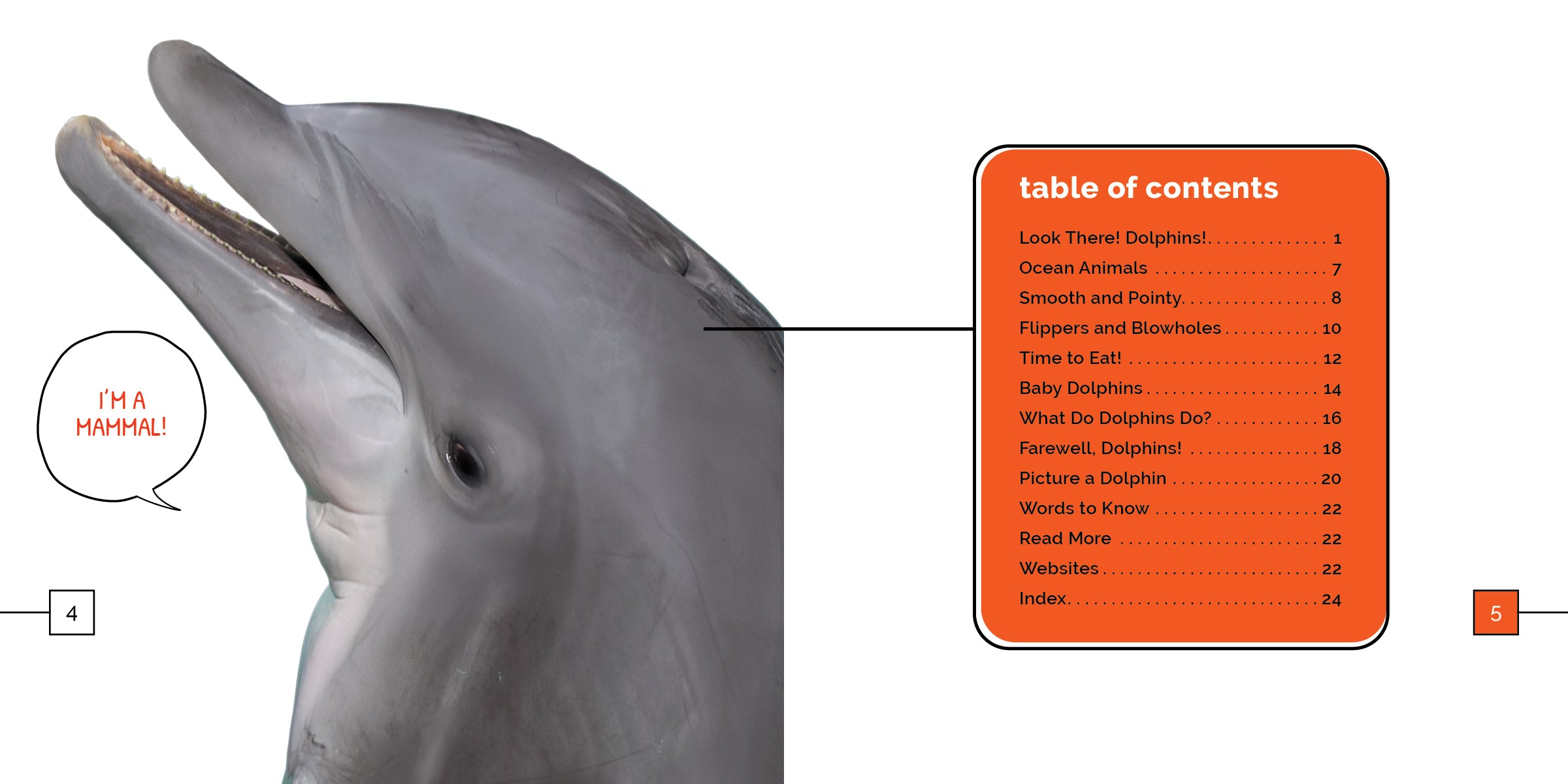 Dolphins Book 9781640268395 - Learn About Marine Life, Perfect for Kids & Ocean Enthusiasts | Great for School Projects & Educational Gifts
