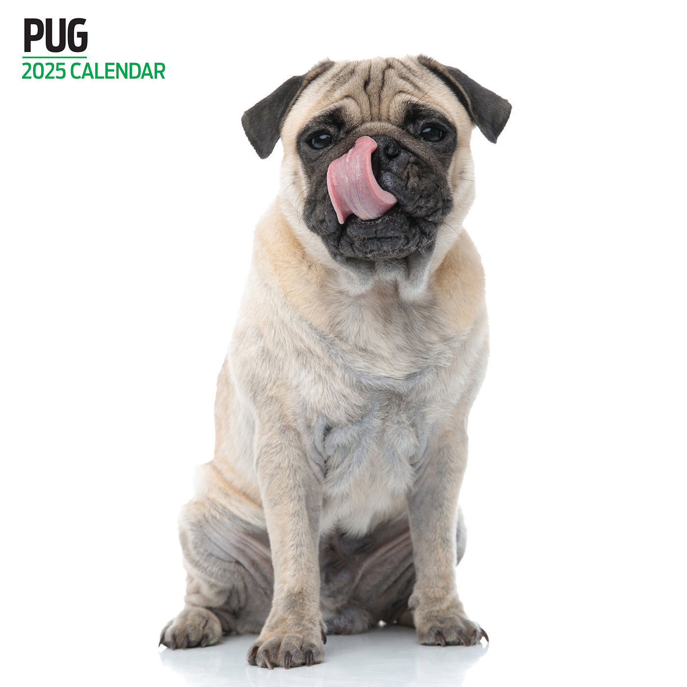 2025 Pug Themed Modern Wall Calendar - Perfect for Home, Office & Gift Giving | Cute Dog Lovers Planner
