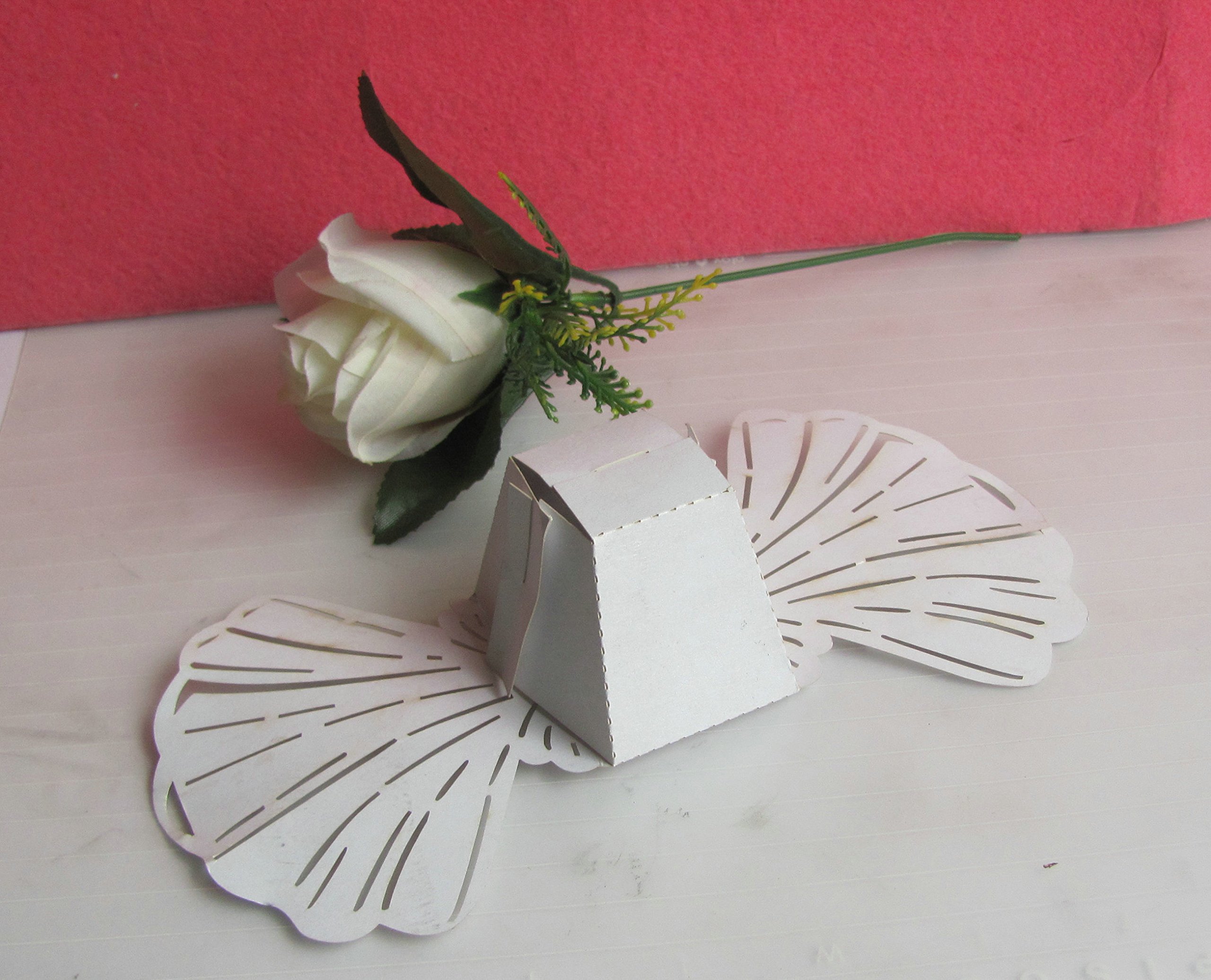 Kubert 50 White Seashells for Wedding Favors & Party Decor