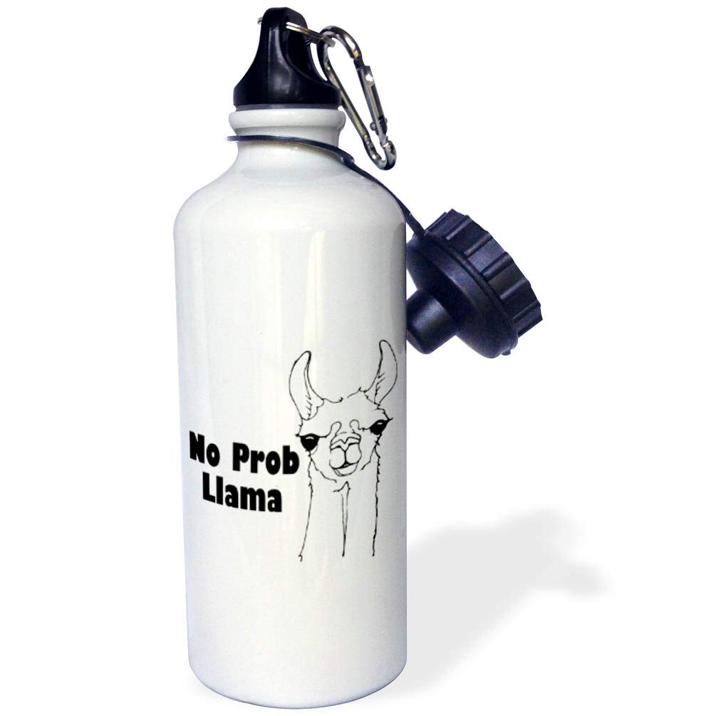 3D Rose No Pro Llama Sports Water Bottle - 21oz Insulated Stainless Steel Bottle with Leak-Proof Lid - Multicolor Design for Gym, Hiking & Outdoor Activities