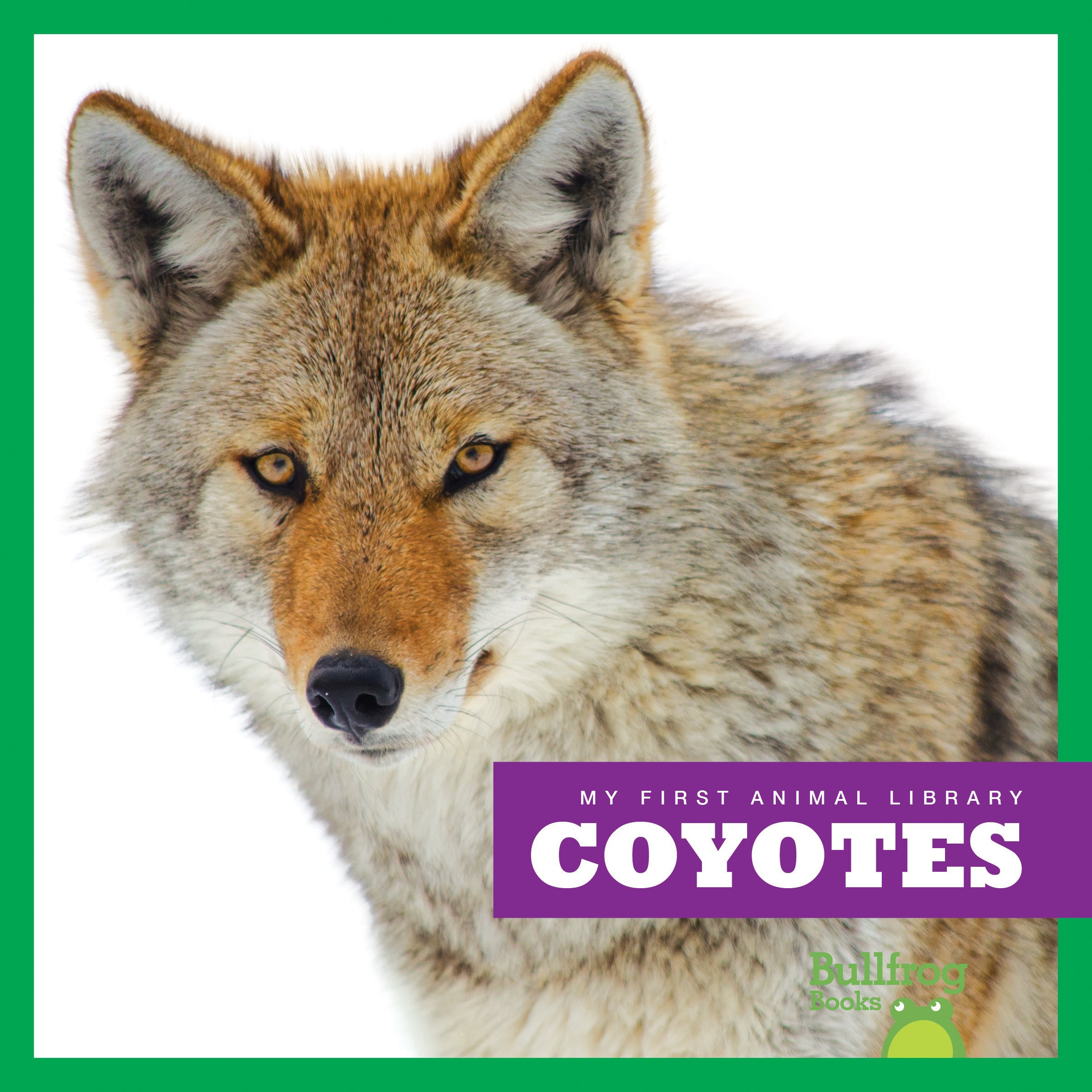 My First Animal Library: Coyotes - Educational Kids Book for Early Readers | Perfect for Classroom Learning & Home Reading