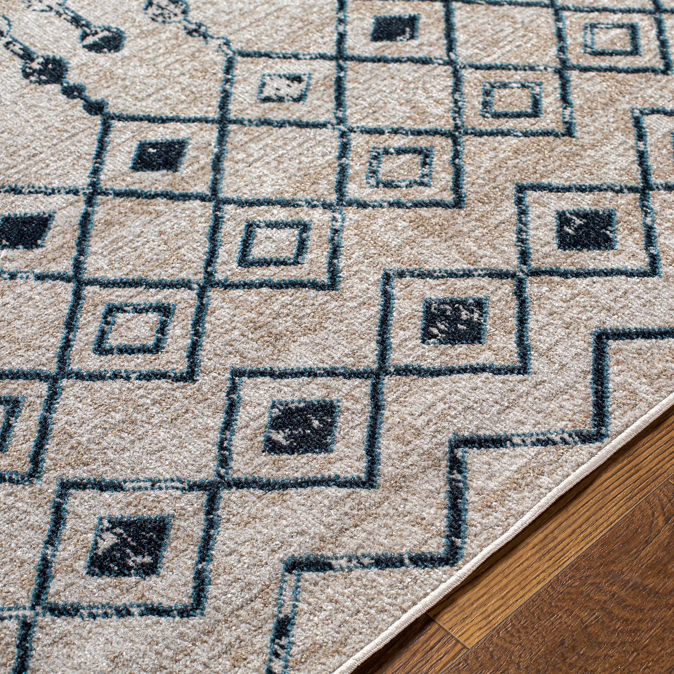 Modderfontein Machine Washable Area Rug - Blue & Beige 7'10