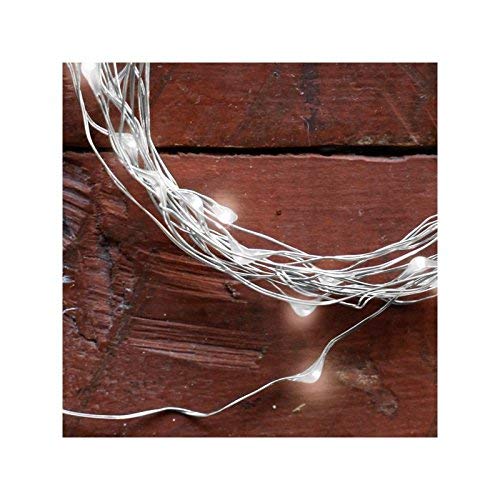 Kikkerland LED 6ft Fairy String Lights - Battery Operated for Bedroom, Party & Outdoor Decor