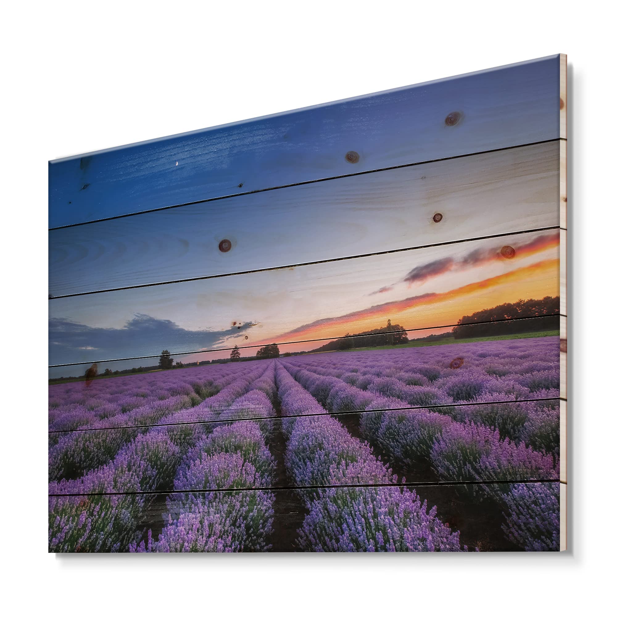 Farmhouse Wood Wall Art - Lavender Field Sunrise on Pine Wood for Home Decor