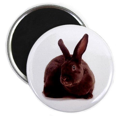Easter Chocolate Bunny Rabbit Fridge Magnet - 2.25 Inch Cute Animal Decor for Refrigerator, Office, Home & Gifts (Set of 1) - Perfect for Easter Decorations, Kitchen Organization, and Party Favors