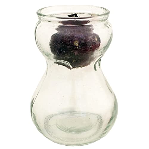 Hyacinth Forcing Clear Glass Vase - 24 Pack for Indoor Flower Bulb Growth | Perfect for Home Decor, Wedding Centerpieces & Spring Gardening