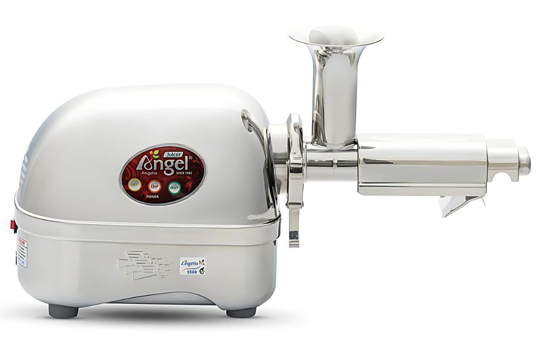 Premium AG-5500 Stainless Steel Slow Juicer - 3HP Cold Press Masticating Juicer with 82RPM & SUS-304 Food Grade - Perfect for Healthy Juicing, Detox Drinks, and Raw Food Diets at Home