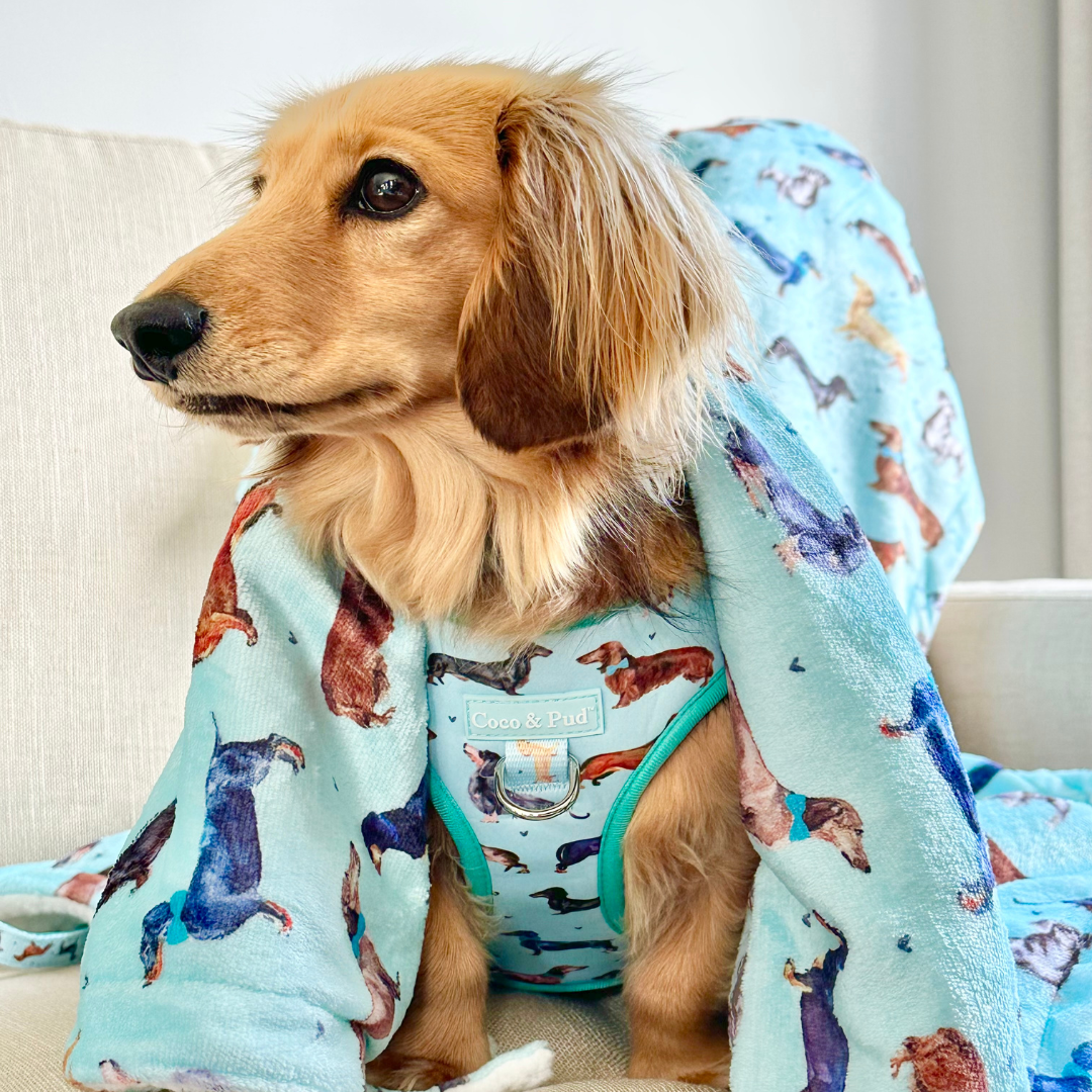 Doxie Love Luxe Blanket - Ultra Soft & Cozy Plush Throw for Dogs & Pet Lovers - Perfect for Cuddling, Sofa, Bed & Travel Use
