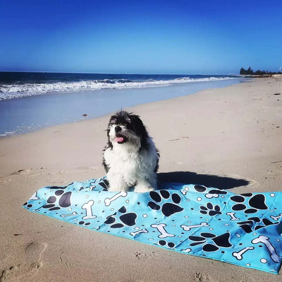 4 Pack Kids Beach Towel Set - Soft, Absorbent & Quick-Dry Bath Towels for Boys & Girls - Perfect for Pool, Beach, Travel & Summer Activities