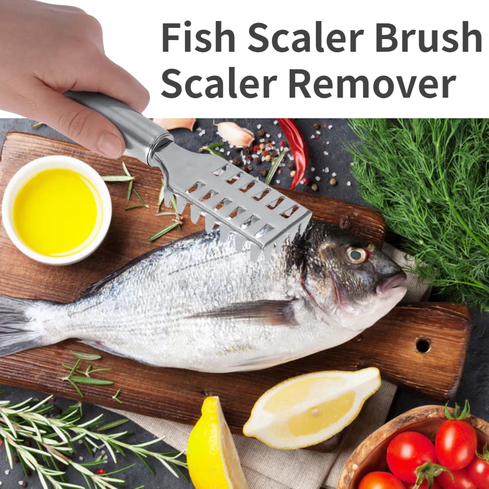 Stainless Steel Fish Scale Remover Tool - Heavy Duty Fish Scaler with Ergonomic Handle for Kitchen, Camping & Fishing - Perfect for Salmon, Bass & Freshwater Fish Cleaning